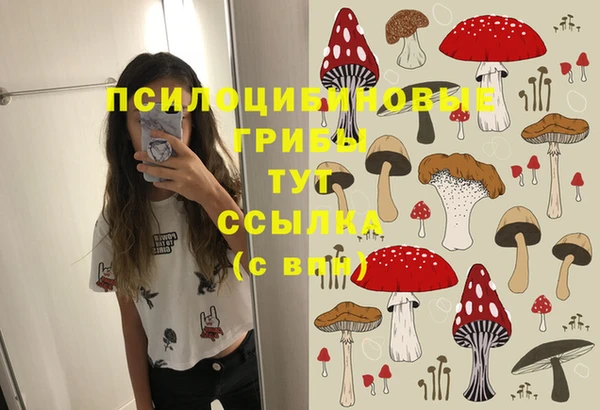 mdpv Богданович