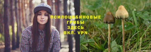 соль ск Бугульма