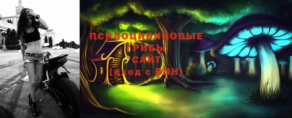 прущий лед Богородицк