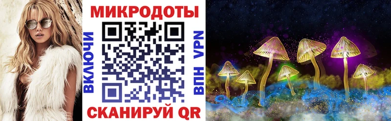 Галлюциногенные грибы Psilocybine cubensis  закладка  Кузнецк 