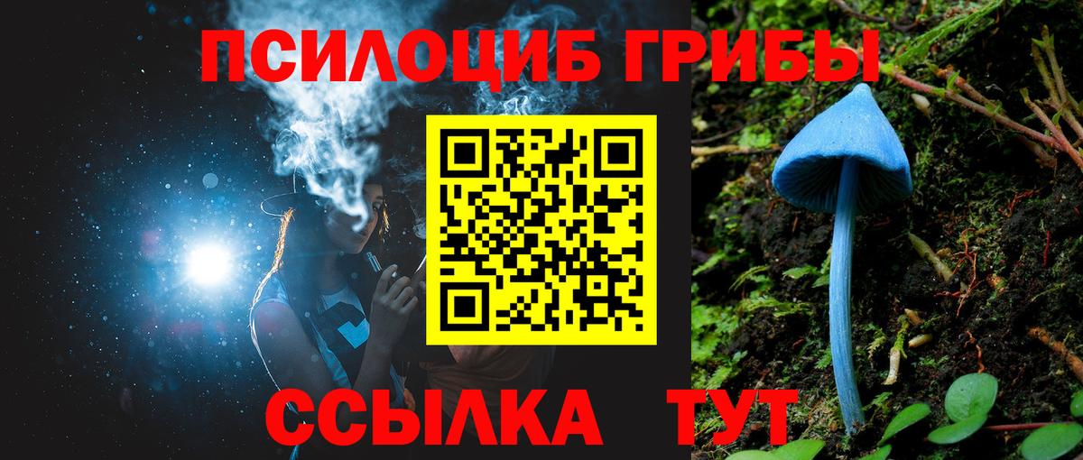 Кузнецк  Галлюциногенные грибы Magic Shrooms  Вход с VPN  Галлюциногенные грибы GOLDEN TEACHER 