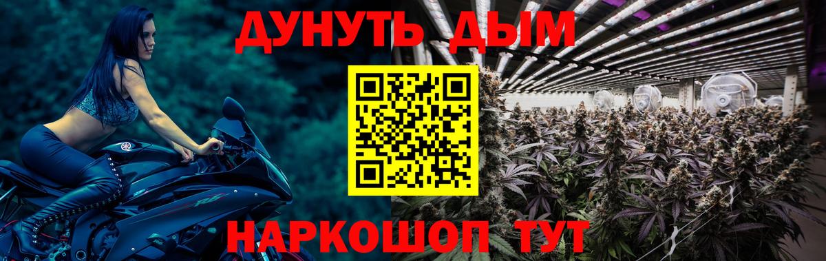 Бошки марихуана AK-47  Канабис ГИДРОПОН  Вход с VPN  Кузнецк  МАРИХУАНА OG Kush 